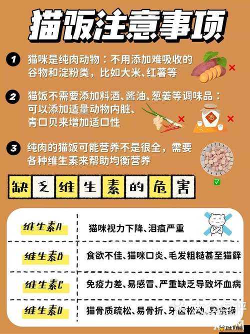 夜晚 10 大禁用 B 站免费：这些你必须要知道的重要事项